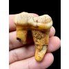 Fosilní zub jeskynního medvěda (Ursus spelaeus) 3,7cm – Slovensko