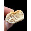 Fossil Cave Bear Tooth (Ursus spelaeus) 3,2cm – Slovakia