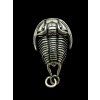 Trilobite Pendant – Zinc