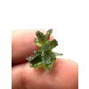 Moldavite – Besednice Jezkovna – 1,14g