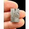Meteorite Nantan 3g – Guangxi, China
