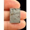 Meteorit Nantan 3,4g – Guangxi, China