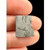 Meteorit Nantan 2,7g – Guangxi, Čína