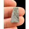 Meteorite Nantan 1,9g – Guangxi, China