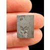 Meteorit Nantan 2,7g – Guangxi, Čína