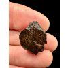 Meteorite Dar al Gani (DaG) 2g – Sahara, Libya
