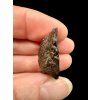 Meteorite Dar al Gani (DaG) 6g – Sahara, Libya