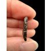 Meteorite Dar al Gani (DaG) 2g – Sahara, Libya
