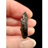 Meteorite Dar al Gani (DaG) 4,3g – Sahara, Libya