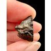 Meteorite Dar al Gani (DaG) 2,7g – Sahara, Libya