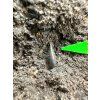 Fossil tooth of the alligator Diplocynodon ratelii – Libous Quarry, CZ