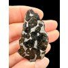 Meteorit Pallasit Sericho 18,7g / koncový řez – Keňa