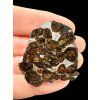 Meteorit Pallasit Sericho 22,8g / koncový řez – Keňa