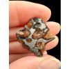 Sericho Pallasite Meteorite 7,2g / endcut – Kenya
