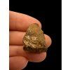 Meteorite Tsarev 8,6g – Volgograd, Russia