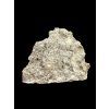 Ramenonožec Hircinisca megaera – Lom Kosov, ČR
