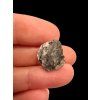 Lunar meteorite Bechar 007 – 1,2g – Algeria / endcut