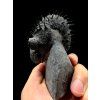 Trilobit Drotops Armatus – Maader, Maroko