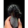 Trilobite Drotops Armatus – Maader, Morocco