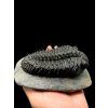 Trilobit Drotops Armatus – Maader, Maroko