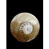 Ammonite 5,2cm – Morocco