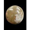 Ammonite 4,5cm – Morocco