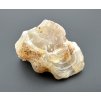 Agate – Kneznice – pole, CZ