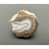 Agate – Kneznice – pole, CZ