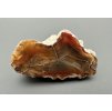 Agate – Kneznice – pole, CZ