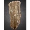 Petrified wood  – Line, CZ