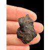 Meteorit Morasko 8,2g – Polsko