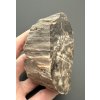 Petrified wood  – Ocihov, CZ