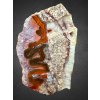 Agate – Klasterecka Jesen, CZ