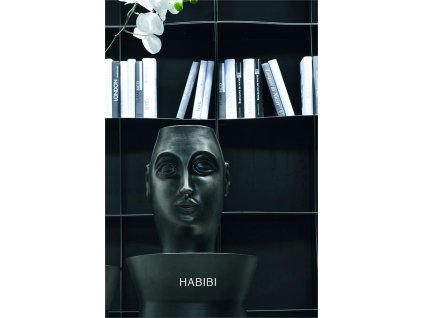 HABIBI