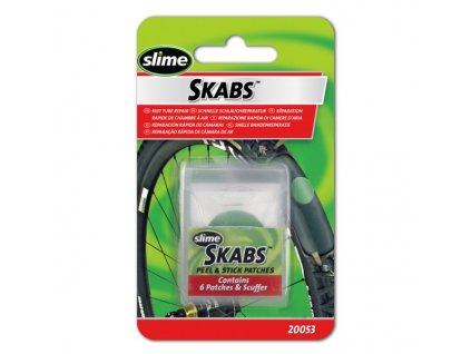 {C6A4CF2B 2091 417E 81EB 8944D03693CB} V