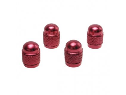 {0AE8FF50 156E 4FCC 9708 F76495329C79} V