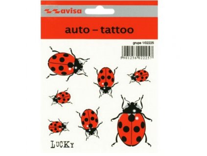 {E0EDD8B4 E581 4B78 BC2F 99E0F0C4B1D4} V