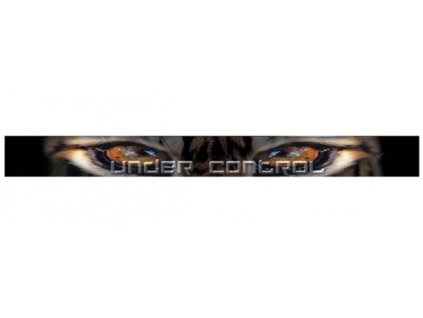 {F41D64E2 77B3 4098 9256 DC9B73F5351B} V