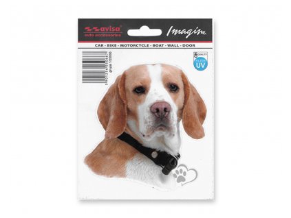 Samolepka AVISA - Pes: Beagle