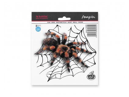 Samolepka AVISA – Tarantule s pavučinou