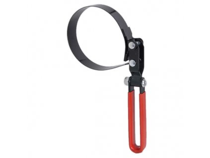 {087C2CB4 11A4 41D6 B655 769D9D9E6E02} V