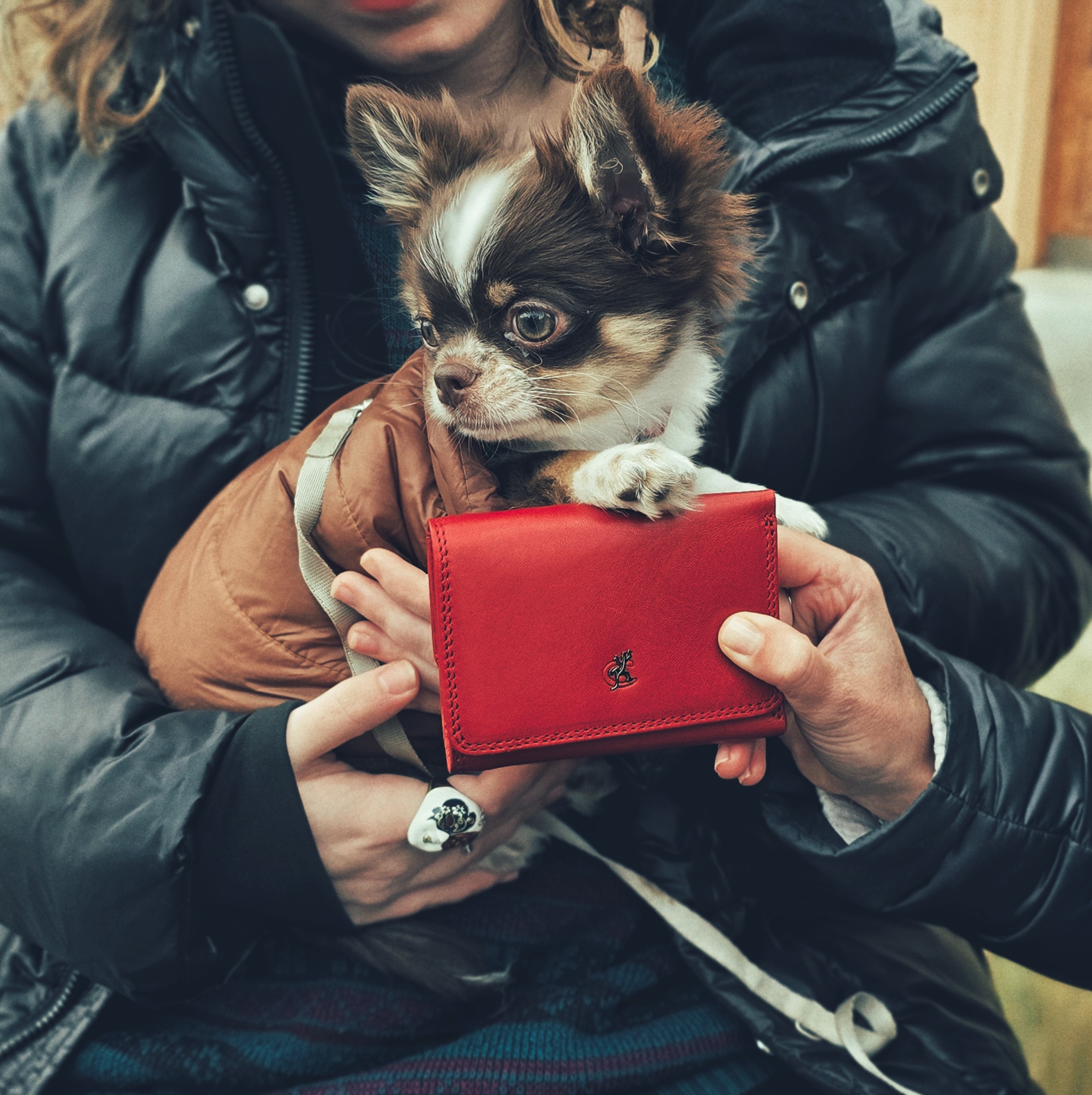 Jak správně pečovat o koženou peněženku
