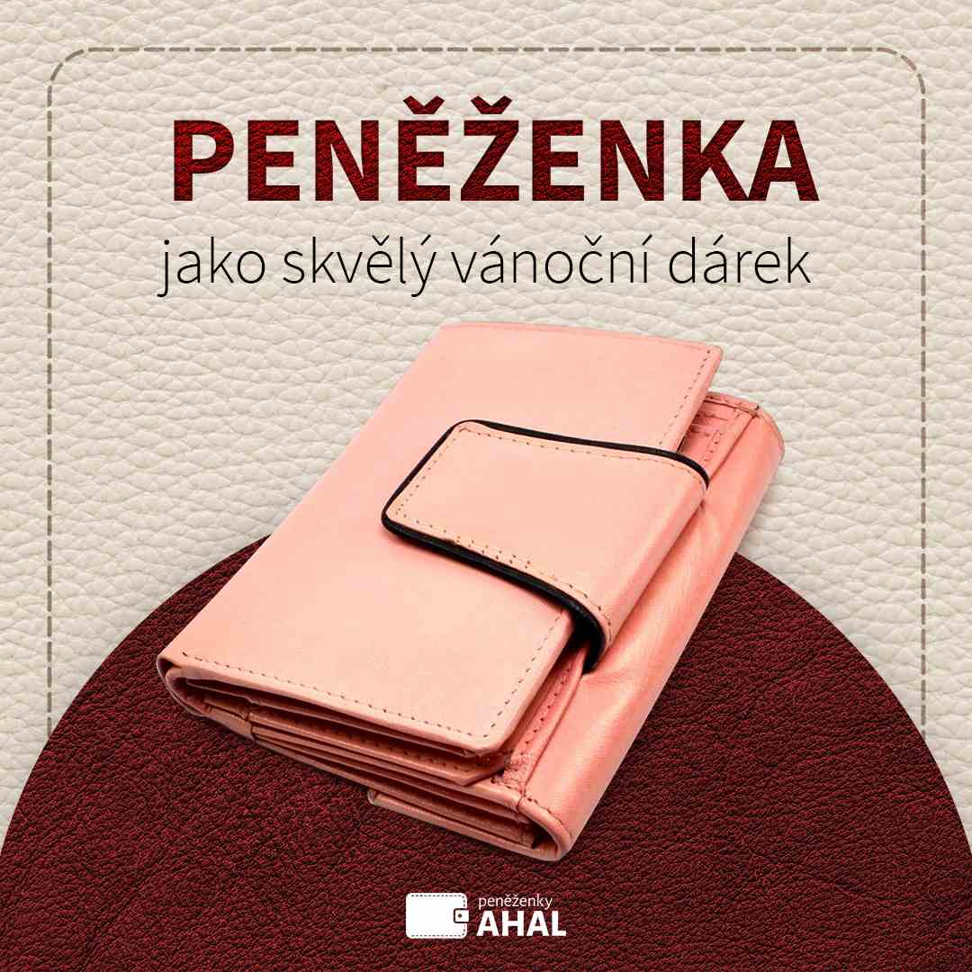 Peněženka jako skvělý vánoční dárek? Ano, ale na míru, a ne prázdná
