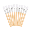 pennella stetce 10ks clean transparent v1