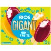 242258 zmrzlina gigant mini fruits 12x50ml Rios 1024x768
