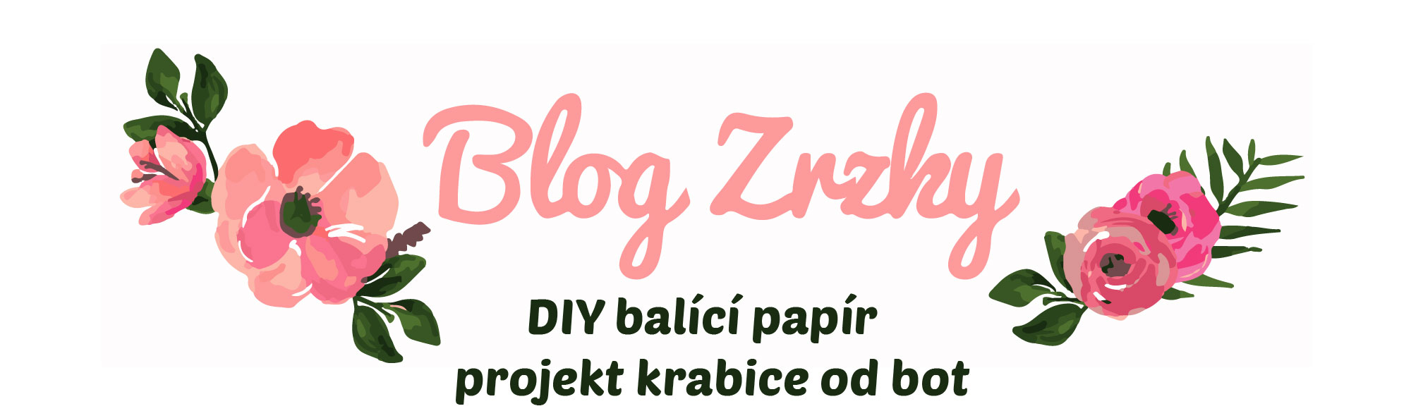 DIY_pena_balicipapir-01