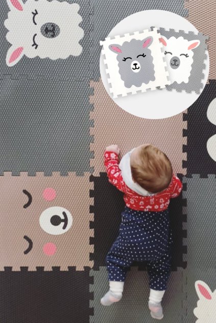 minideckfloor lama titulni2