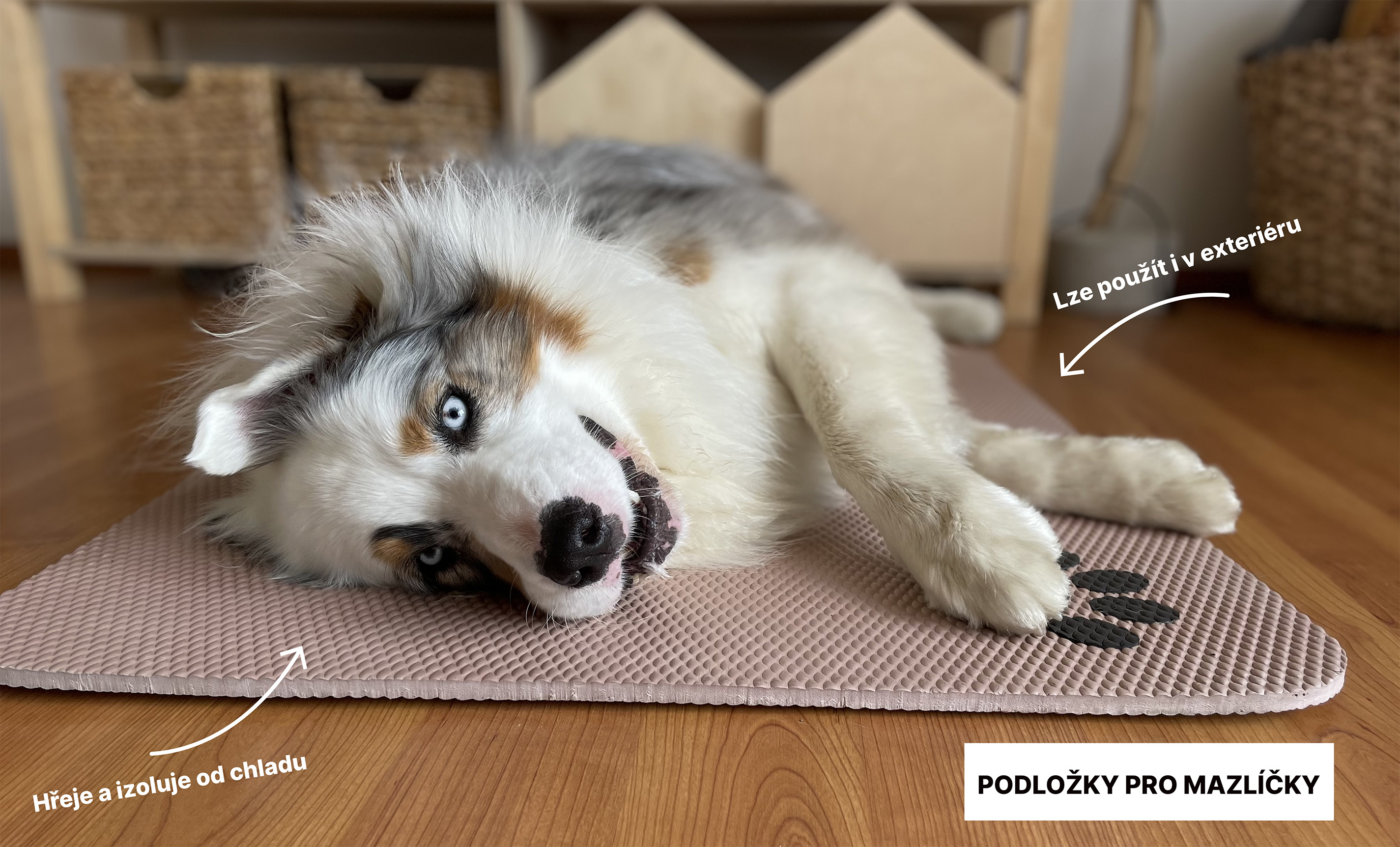 Pěnové podlahy pro mazlíčk