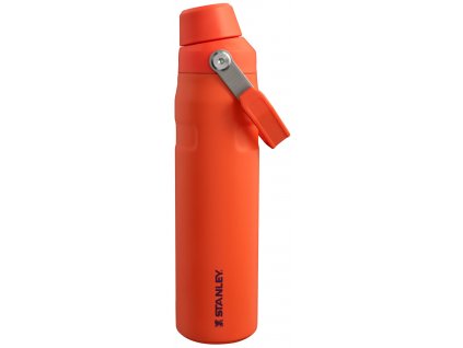 The Aerolight™ IceFlow™ Water Bottle Fast Flow 0.6L / 20oz Tigerlily