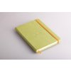 Rhodiarama hardcover notebook ANISE A5 96 sheets lined ivory 90g, paper elastic closure